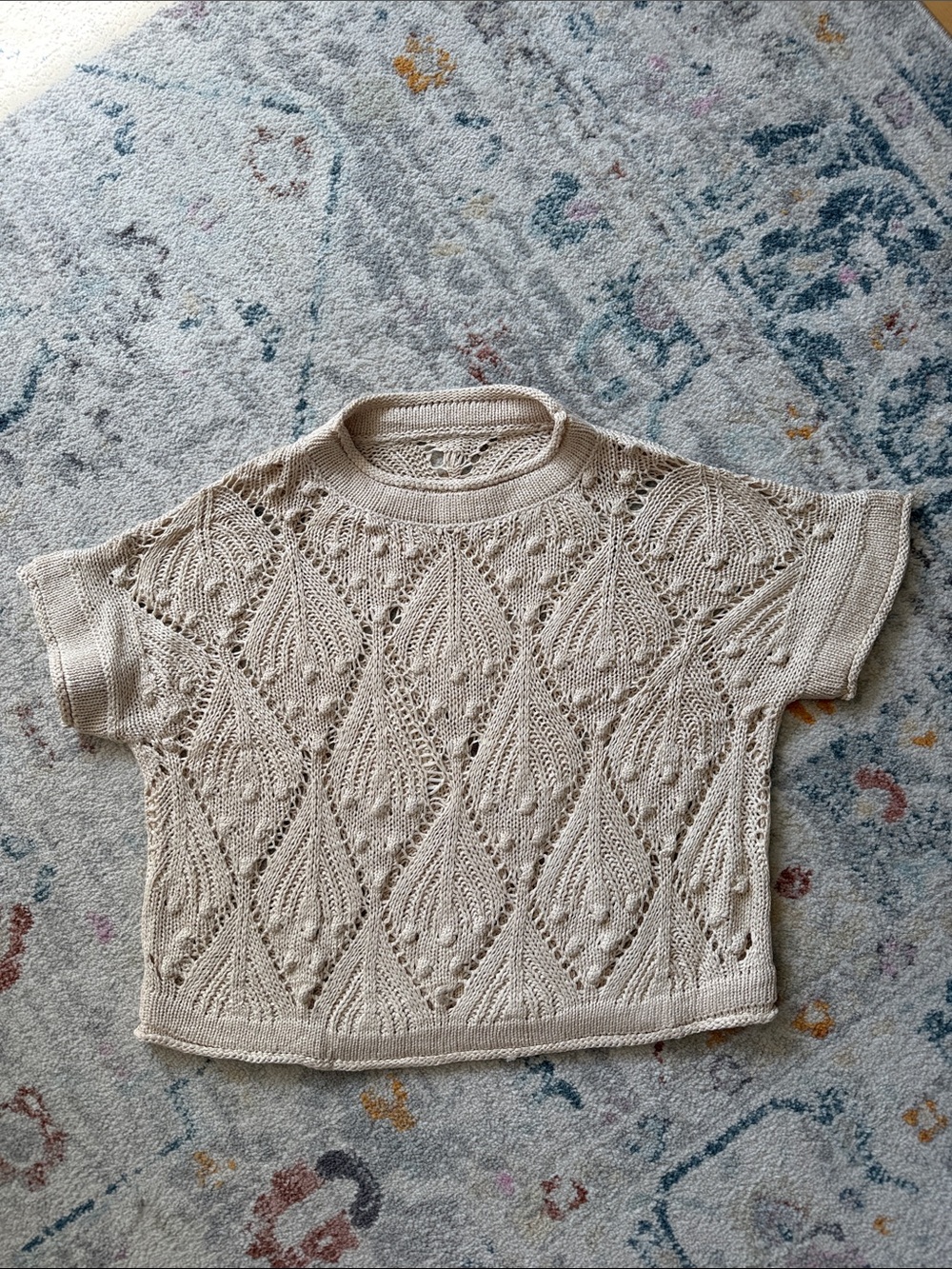 Amazon Women’s Beige Crochet Short-Sleeve Sweater Top